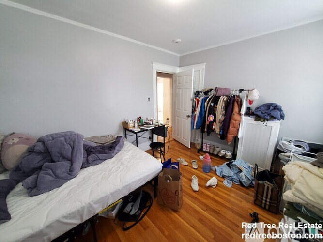 7 Elmira St 4 Beds Apartment for Rent - Photo Gallery 6