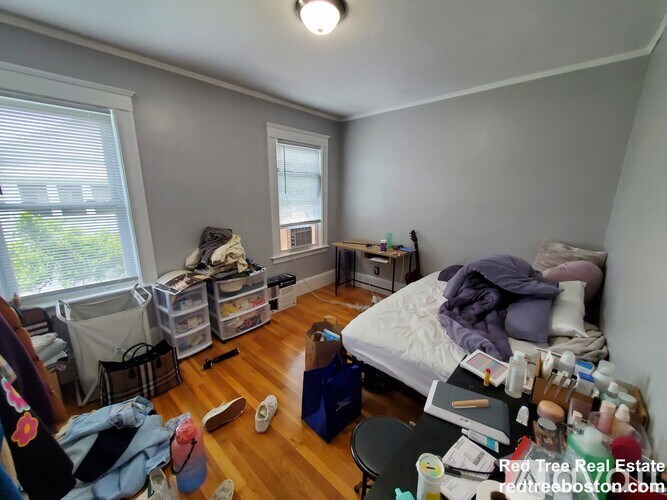 7 Elmira St 4 Beds Apartment for Rent - Photo Gallery 8