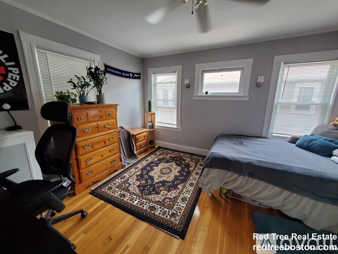 7 Elmira St 4 Beds Apartment for Rent - Photo Gallery 10