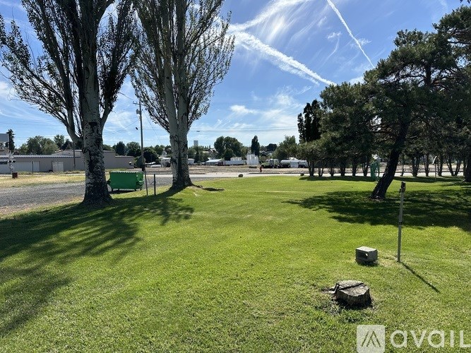A grassy area with trees and a clear sky.