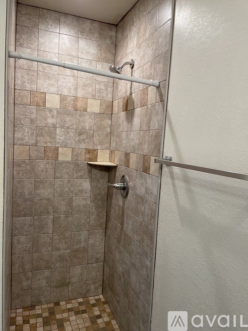 A tiled shower with a white door and a white wall.