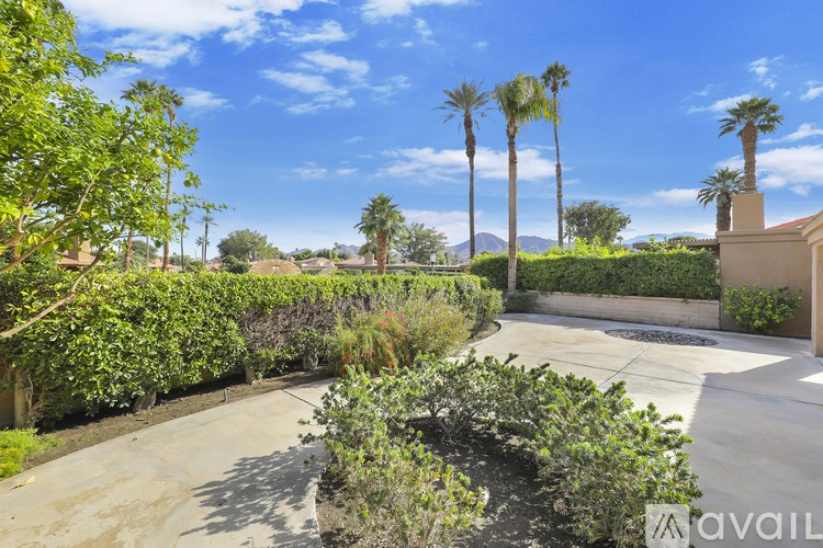A sunny day in a garden with palm trees and a house in the background.
