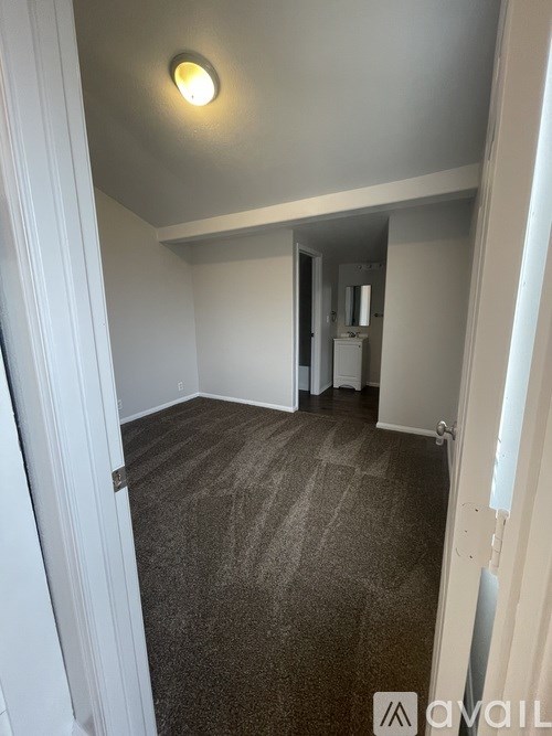 A room with a carpeted floor and a ceiling light.