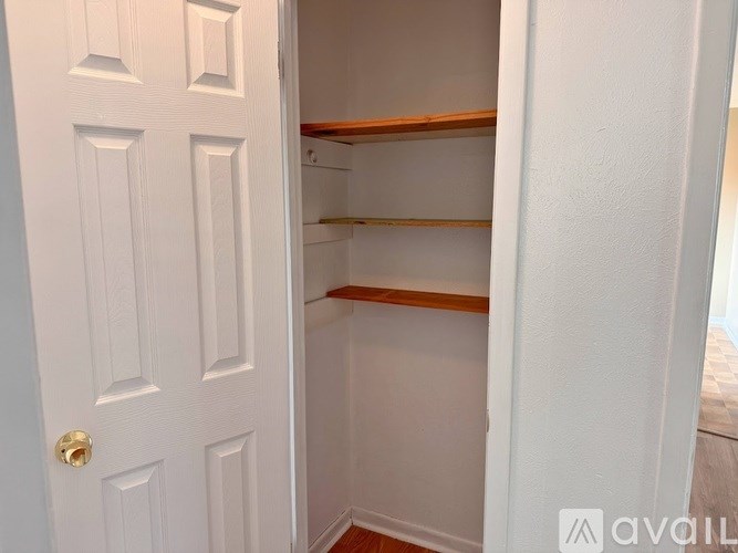 A white door with a gold handle is open to a small pantry with two shelves.