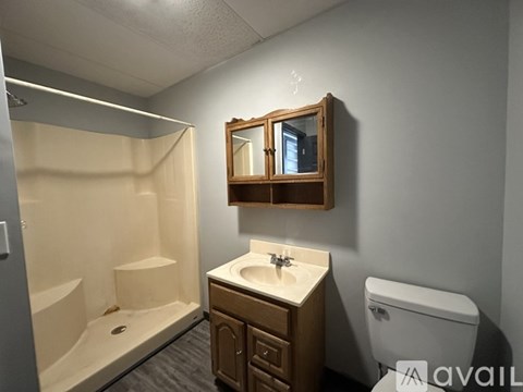 A bathroom with a sink, toilet, and shower.