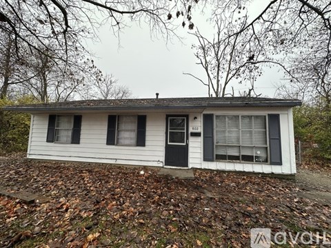 A small white house with black shutters and a black door is surrounded by fallen leaves.