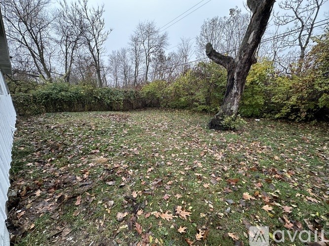 A backyard with a tree and fallen leaves on the ground.