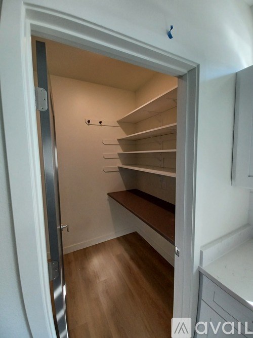 A small pantry with a white door and shelves.