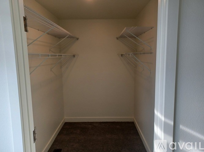 A walk-in closet with white shelves and a carpeted floor.