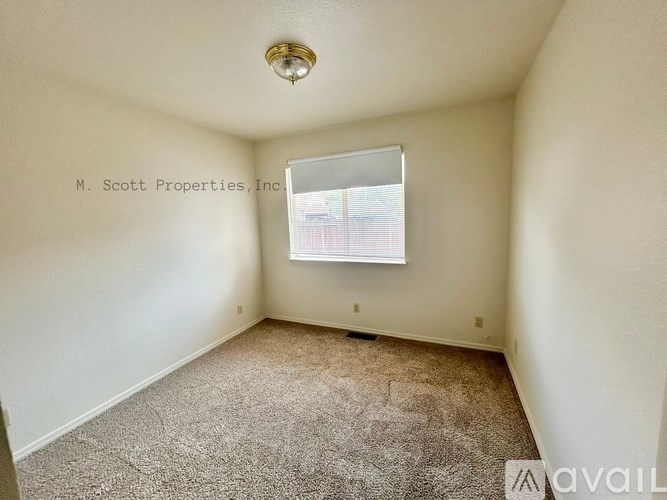 A carpeted room with a window and a light fixture on the ceiling.