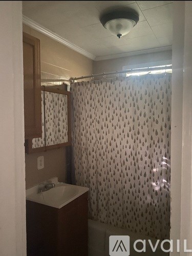 A bathroom with a shower curtain and a sink.