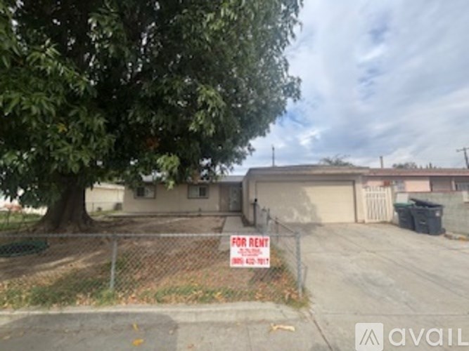 A tree is in front of a house with a for rent sign.