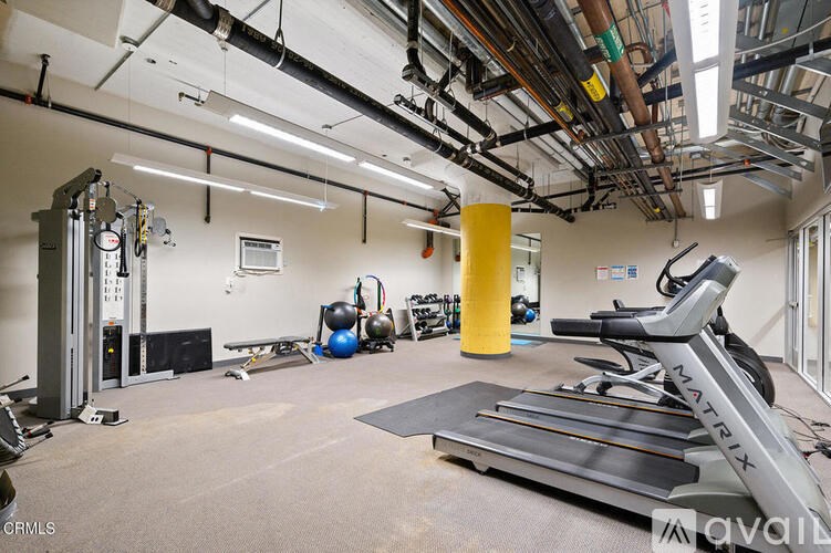 A gym with a treadmill, weights, and exercise equipment.