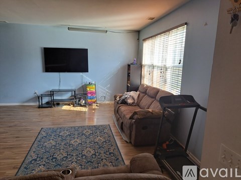A living room with a sofa, a chair, a rug, and a television.