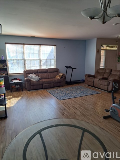 A living room with a brown couch and a blue rug.