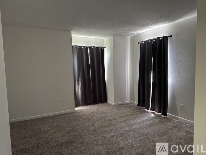 A room with grey carpet and black curtains.