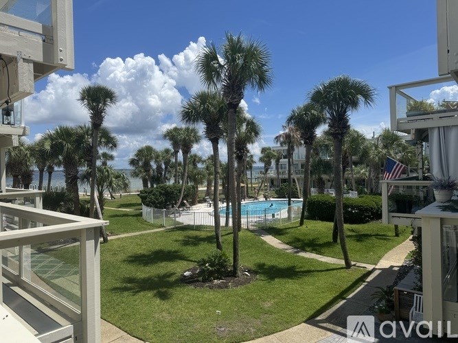 A pool surrounded by palm trees and a clear blue sky.