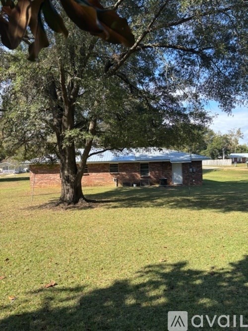 A tree stands in a grassy field in front of a building.