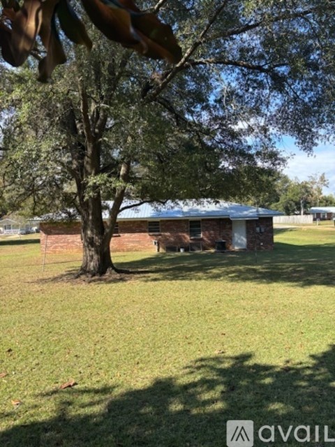A tree stands in a grassy field in front of a building.