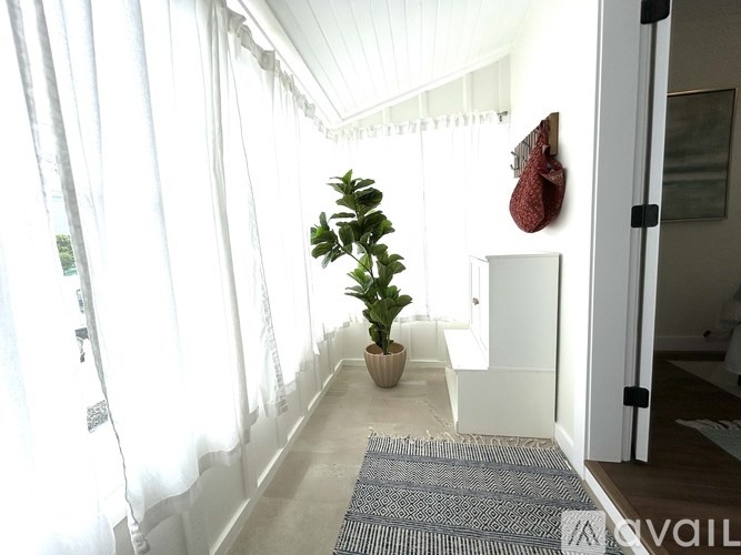 A white hallway with a potted plant and a rug.