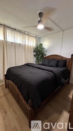 A bedroom with a bed, a ceiling fan, and a plant.