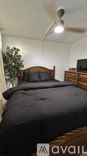 A bedroom with a bed, a ceiling fan, and a plant.