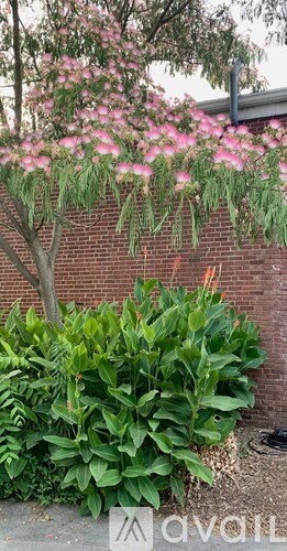 A tree with pink flowers is in front of a brick wall.