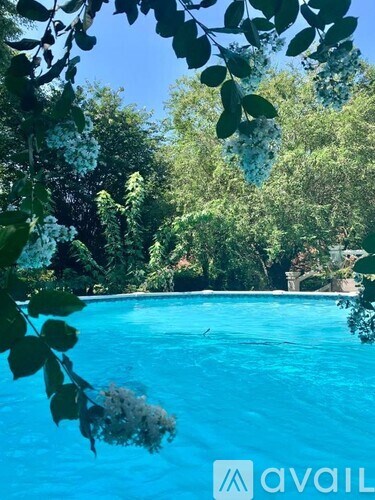 A pool surrounded by greenery and trees.