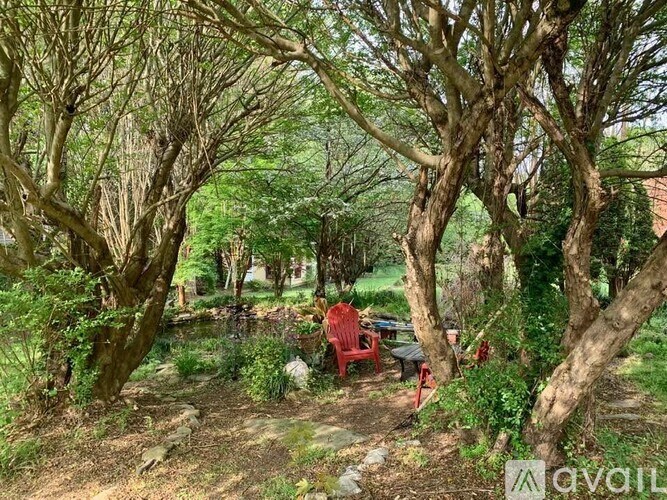 A garden with trees and a bench.
