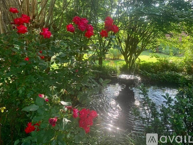 A garden with red roses and a pond.