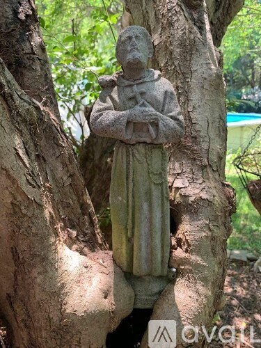 A stone statue of a person is embedded in a tree trunk.