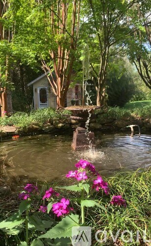A small pond in a garden with a white shed and trees in the background.