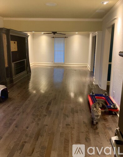 A cat is walking across a wooden floor in a room with a ceiling fan.