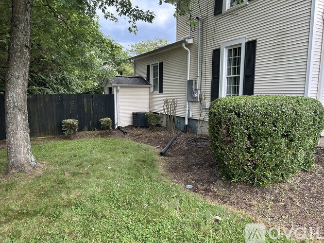 A backyard with a fence, a tree, and a hedge.