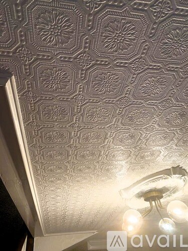 A ceiling with a detailed pattern and a light fixture.