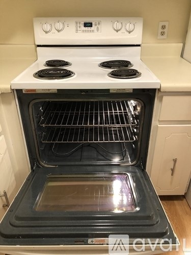 245 Sea St 1 Bed Condo for Rent - Photo Gallery 2