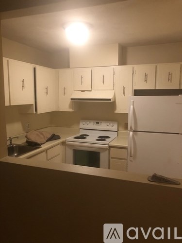 245 Sea St 1 Bed Condo for Rent - Photo Gallery 14