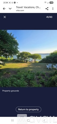 A grassy area with trees and a clear sky.