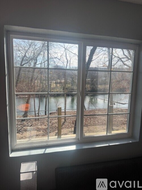 A window with a view of a river and trees.