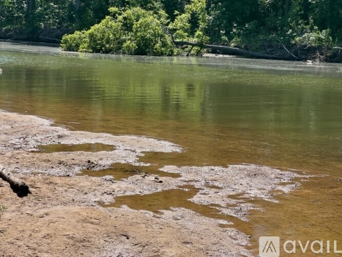 A body of water with patches of brown algae or mud.