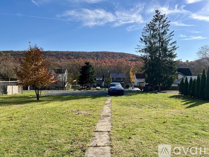 A tree stands in a grassy field with a car parked in the background.