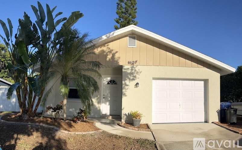 A house with a white garage door and a palm tree in front.