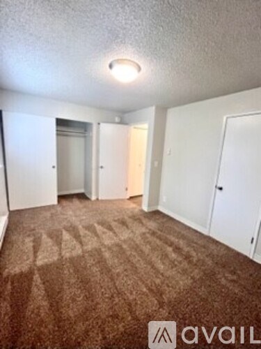 A carpeted room with a brown carpet and white walls.