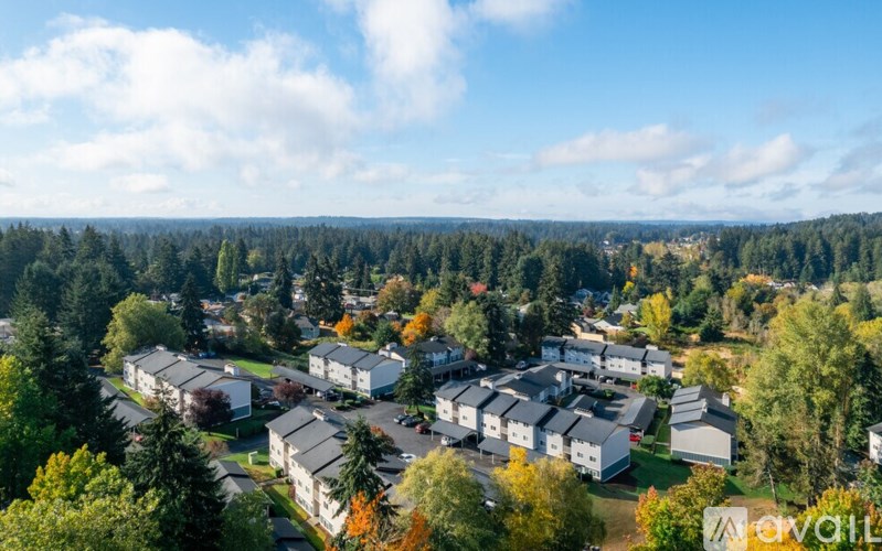 A bird's eye view of a residential area surrounded by trees.