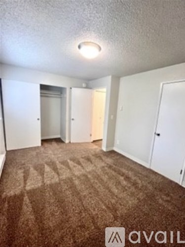 A carpeted room with a brown pattern and a white door.