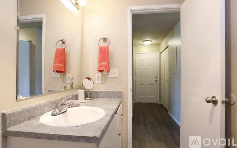 A bathroom with a sink, mirror, and towel rack.