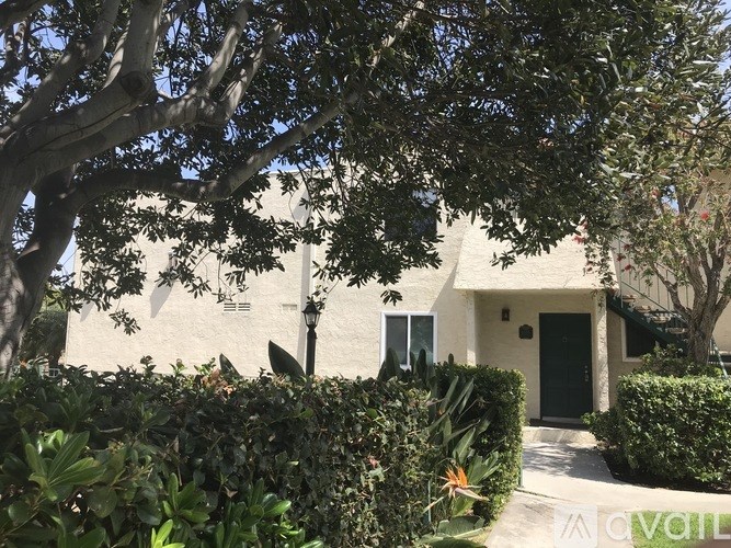 A house with a black door and a green bush in front.
