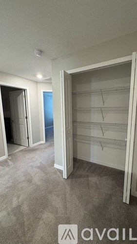A room with a carpeted floor and a large open closet with shelves.