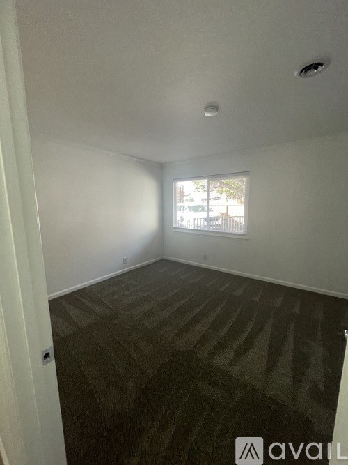 A room with a carpeted floor and a window.