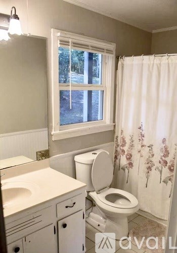 A white toilet sits next to a sink in a bathroom.